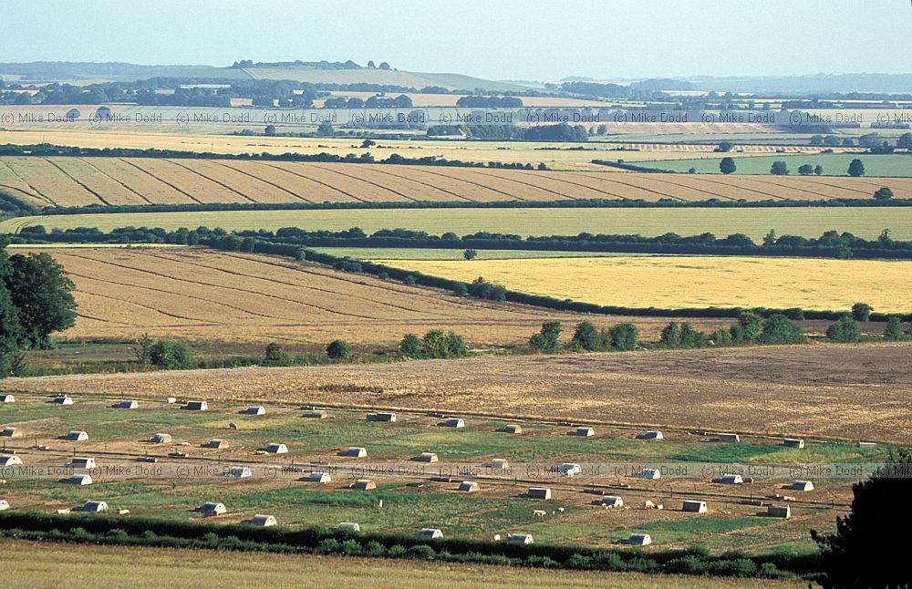 Farmland with pig arks, Hampshire