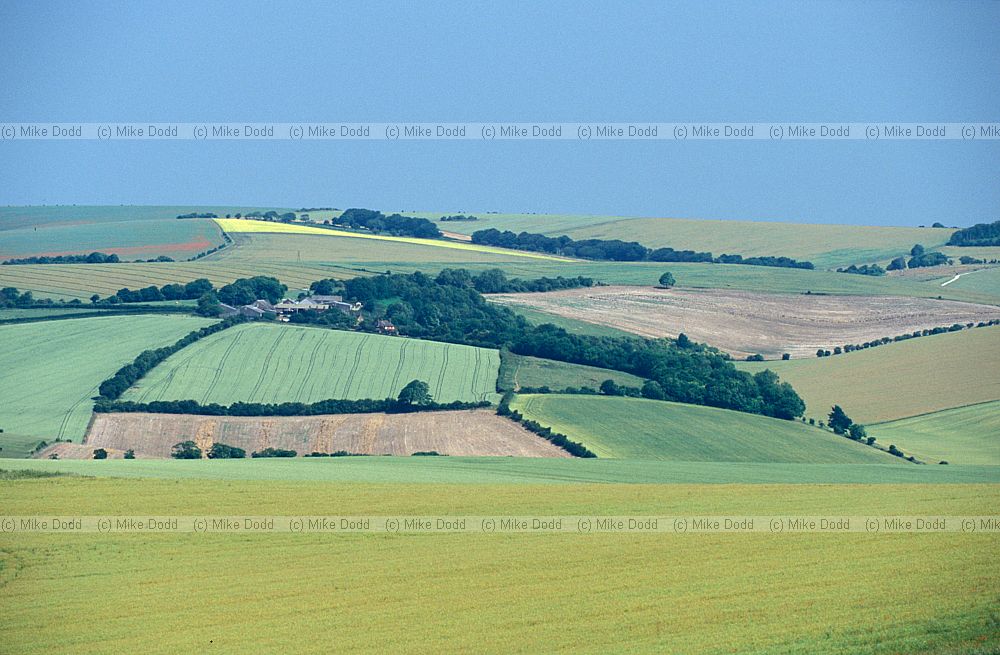 Farmland south downs, near Brighton, Sussex