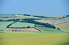 Farmland south downs, near Brighton, Sussex