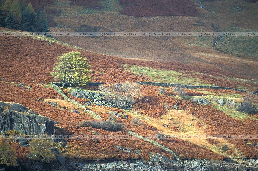 Hillside dramatic lighting Hawswater, Lake District