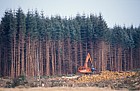 Mechanised forestry, flow country, Scotland