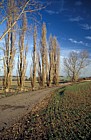 Poplars farmland Gayhurst Buckinghamshire