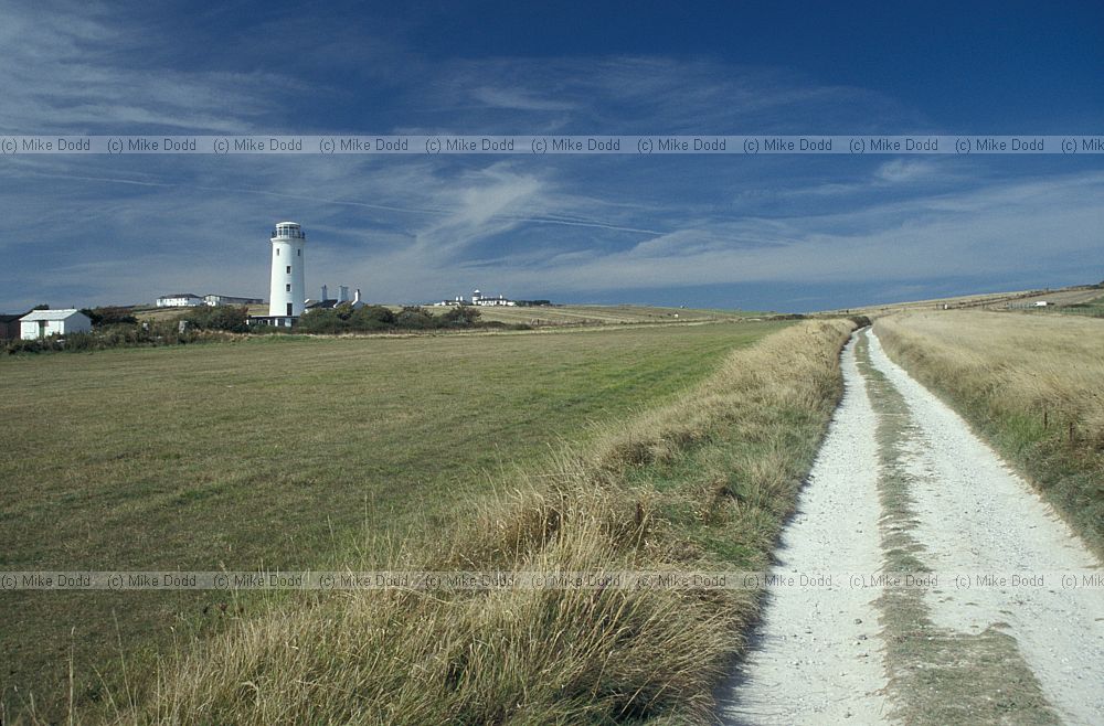 Grassland on shallow soil Portland bill