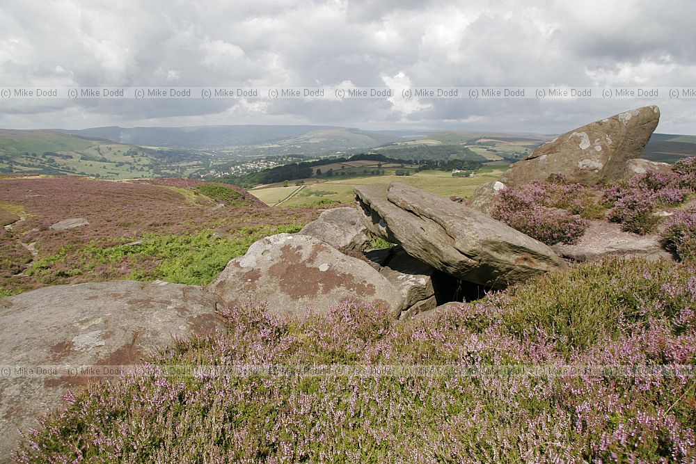 Millstone grid and heather on mountain Peak District