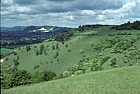 Colley hill chalk grassland 1984, Reigate, Surrey
