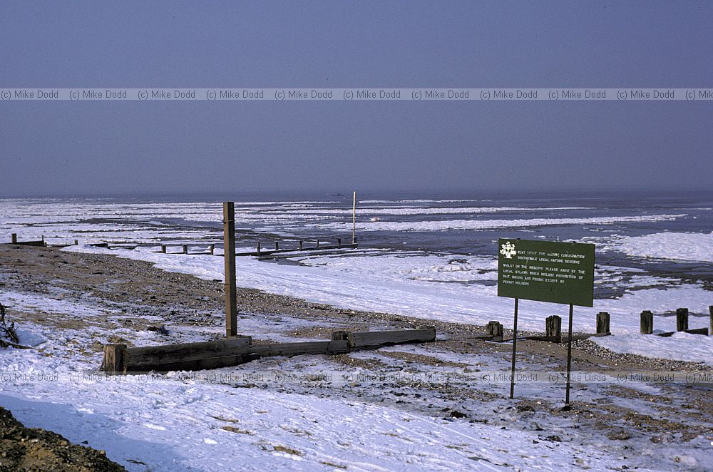 Frozen sea Thames estuary march 1986