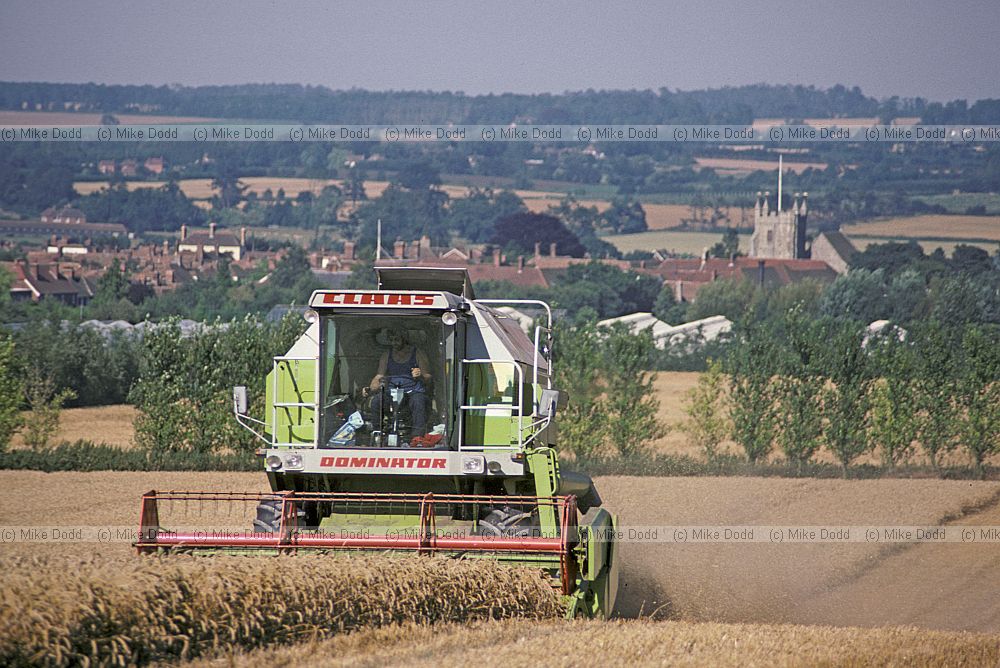 Combine harvesting wheat