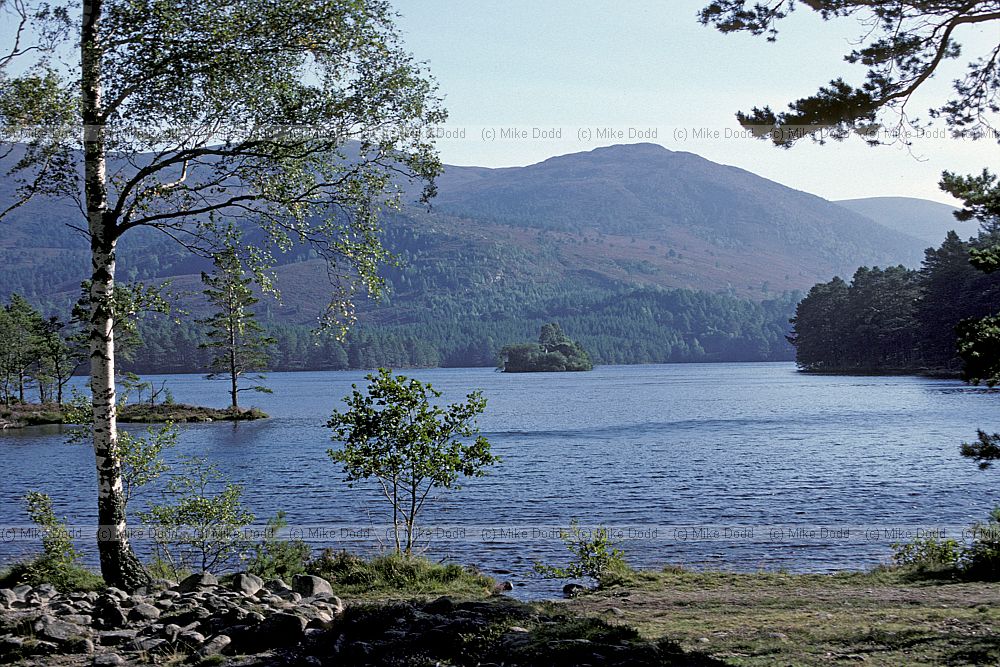Loch an Eilein Rothiemurchas near Aviemore Scottish highlands
