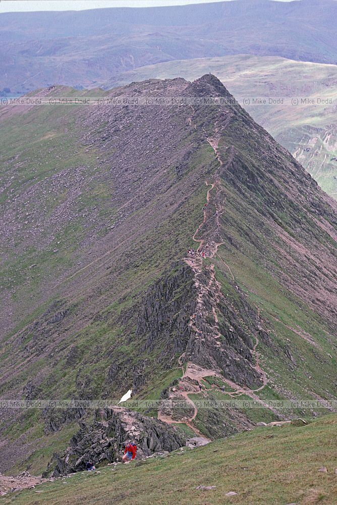 Striding edge Lake District
