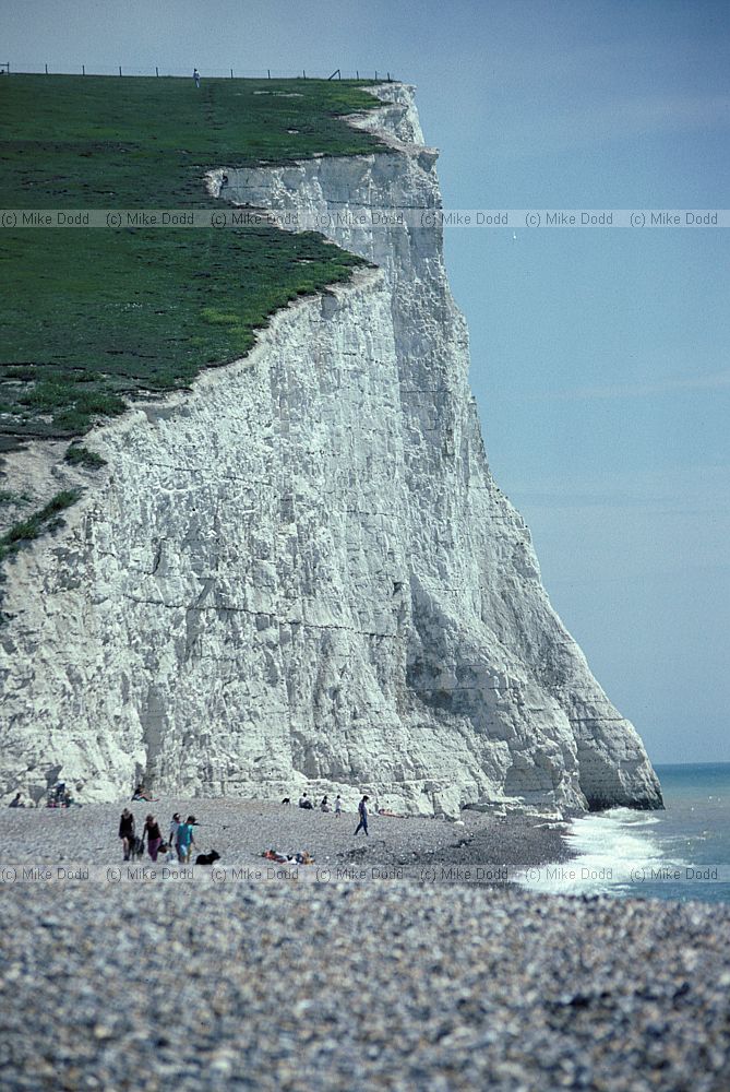 Chalk cliffs Cuckmere haven, Sussex