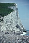 Chalk cliffs Cuckmere haven, Sussex