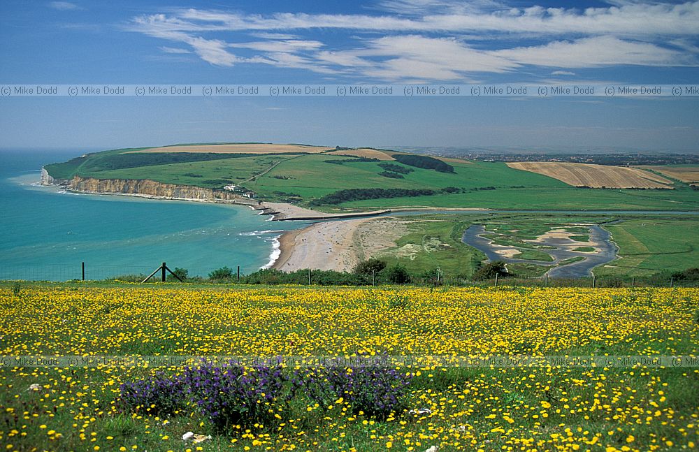 Coastline Cuckmere haven, Sussex