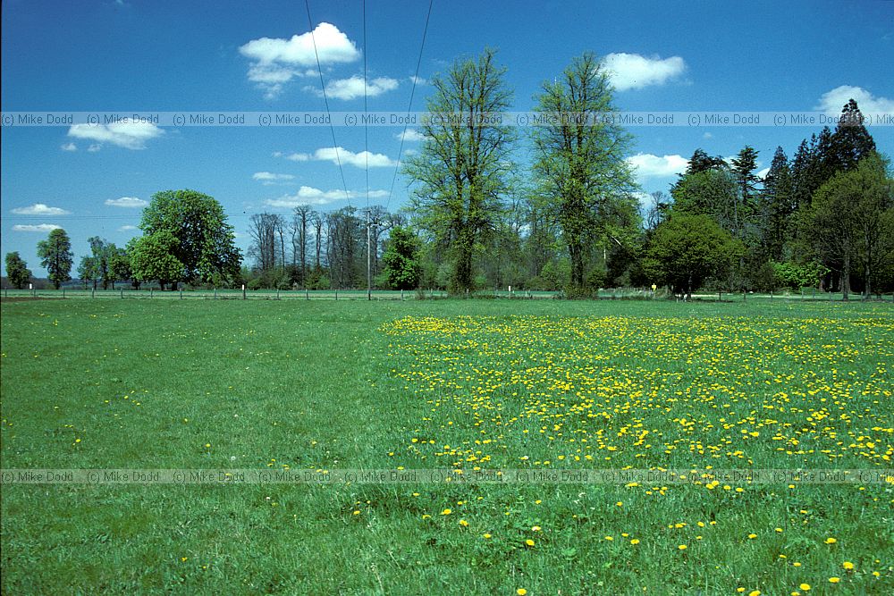 Park Grass Experiment, Rothamstead, Hertfordshire