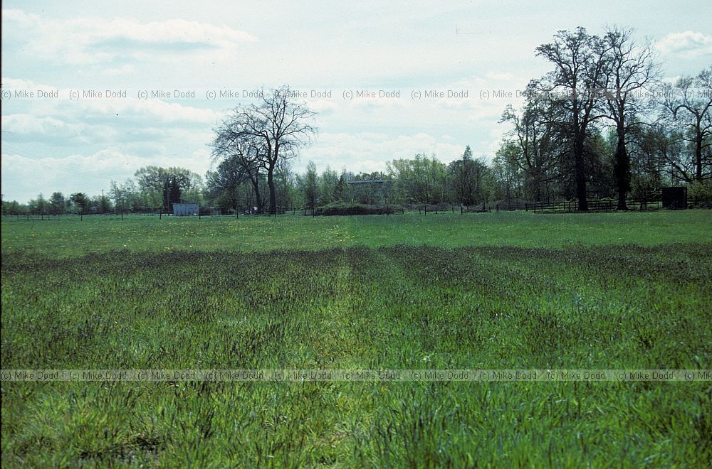 Park Grass Experiment, Rothamstead, Hertfordshire