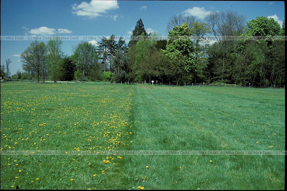 Park Grass Experiment, Rothamstead, Hertfordshire