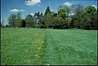 Park Grass Experiment, Rothamstead, Hertfordshire