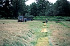 Park Grass Experiment, Rothamstead, Hertfordshire