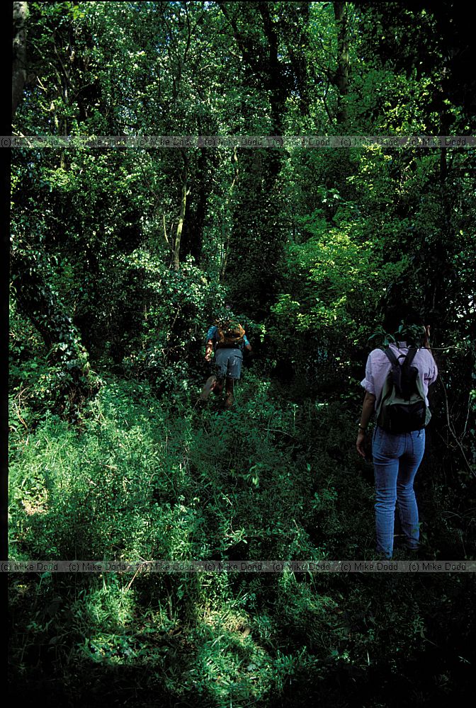 Broadbalk wilderness, Rothamstead