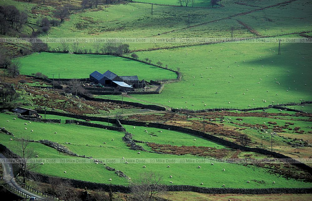 Farm near Snowdon, Wales