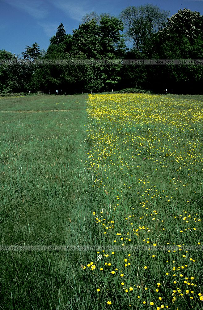 Park Grass, Rothamstead