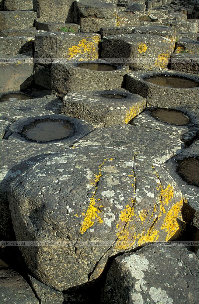 Giant's causeway, Northern Ireland