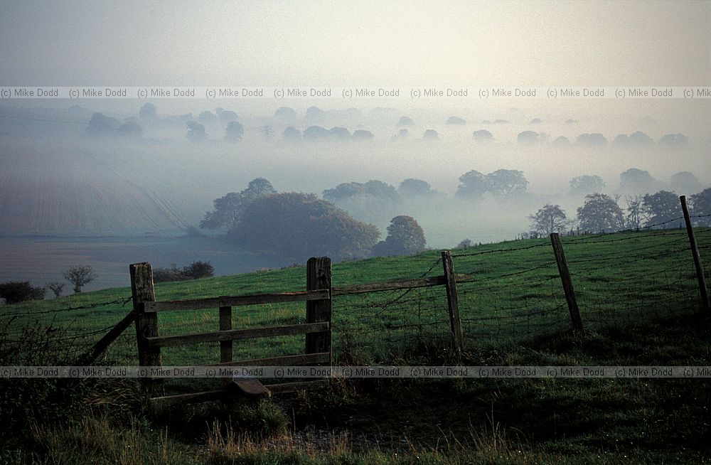 Mist inversion Ivinghoe beacon, Chilterns