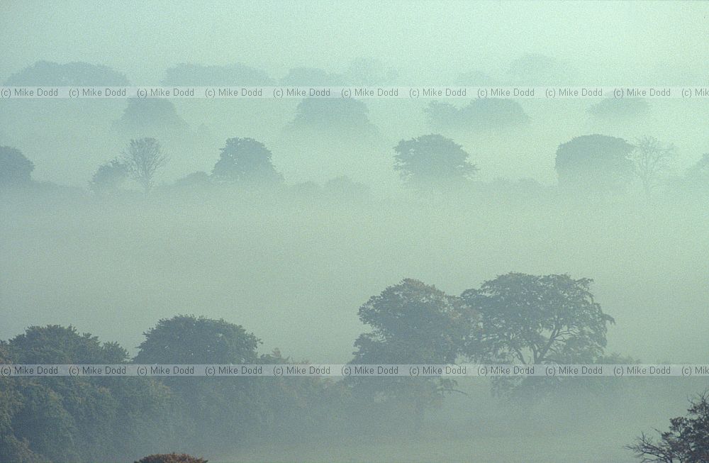 Mist inversion Ivinghoe beacon, Chilterns
