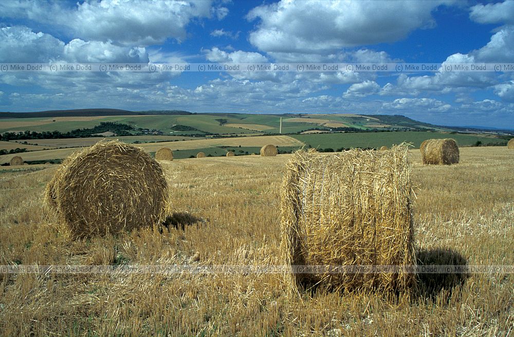 Straw bales south downs, Sussex and cumulus clouds