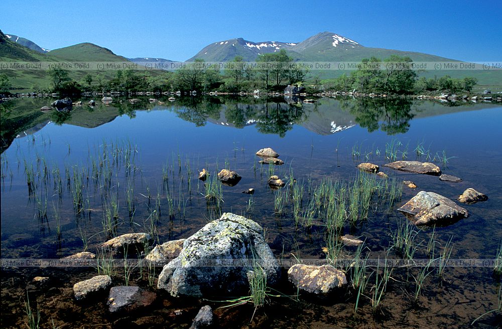 Lochan na h Achlaise, Black mount, Rannoch, Scotland