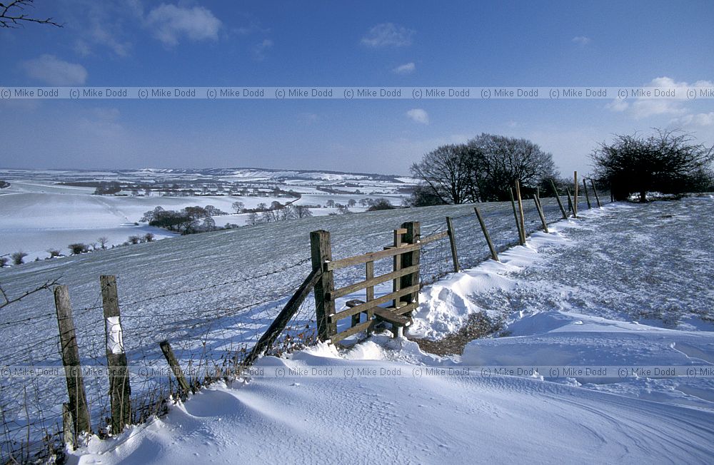 Chiltern hills east from near Ivinghoe, snow
