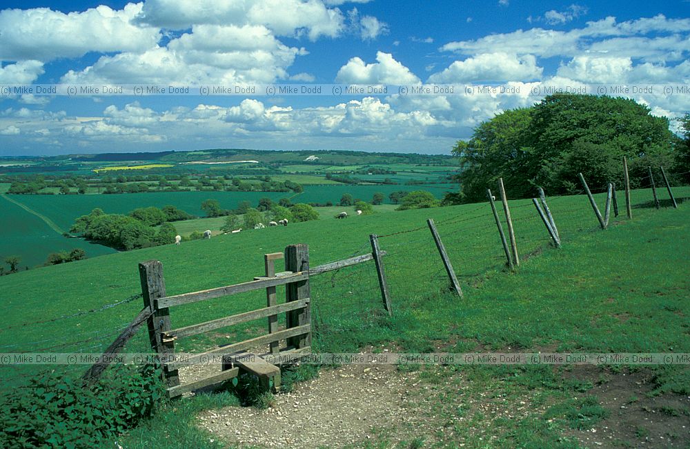 Chiltern hills east from near Ivinghoe