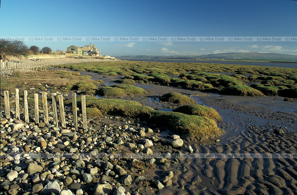 Saltmarsh Sunderland point