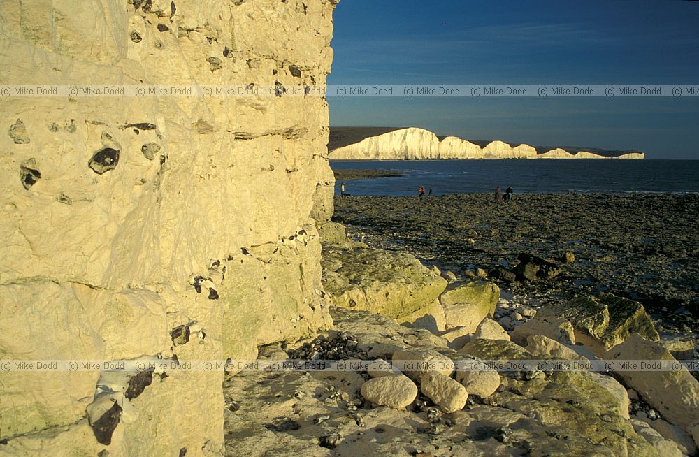 Chalk cliff with flints, Cuckmere Haven, Sussex