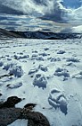 Raised footsteps in snow Cairngorm summit, Scotland