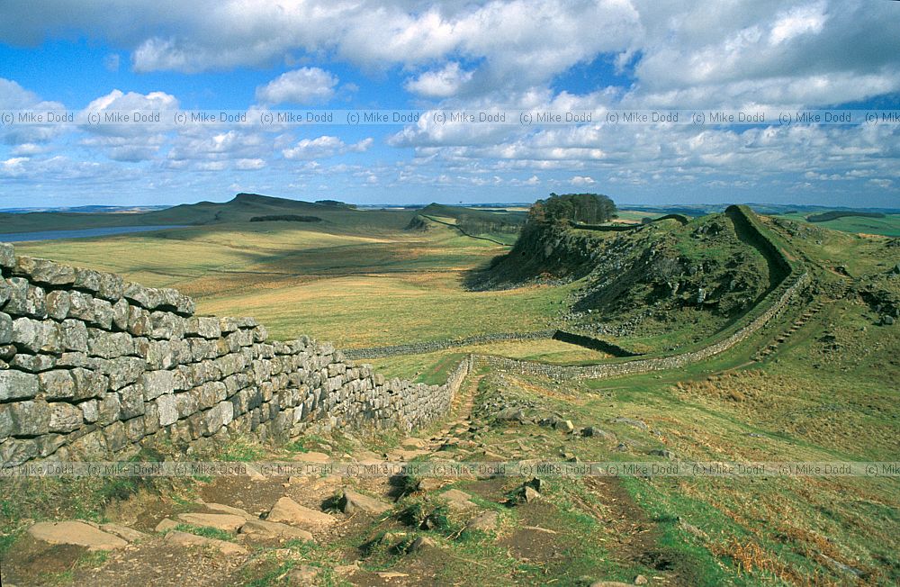 Hadrian's wall Haltwhistle