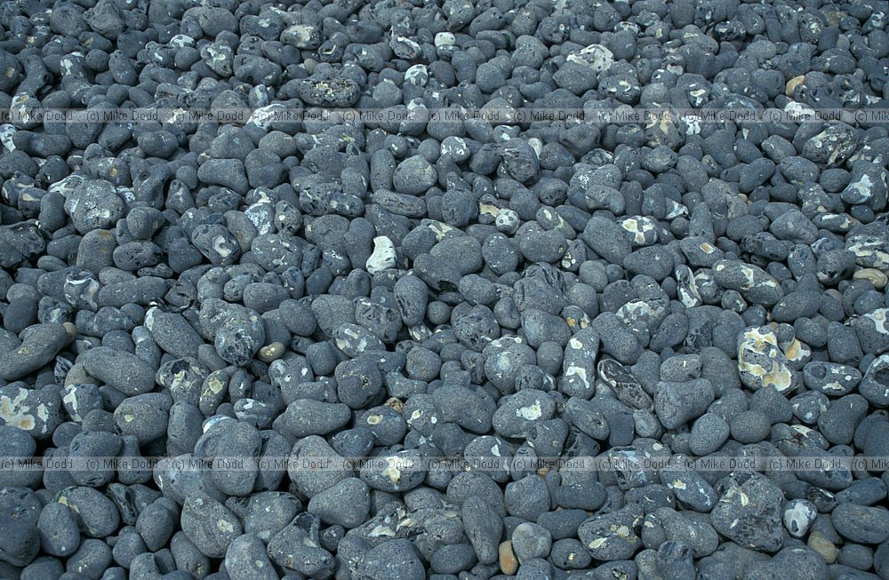 Pebbols on beach, St Margarets bay, Kent