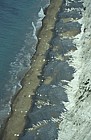 sea pebbols chalk coastline needles, Isle of Wight