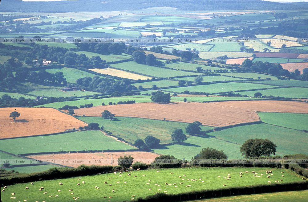 Farmland patchwork Brecon, Wales