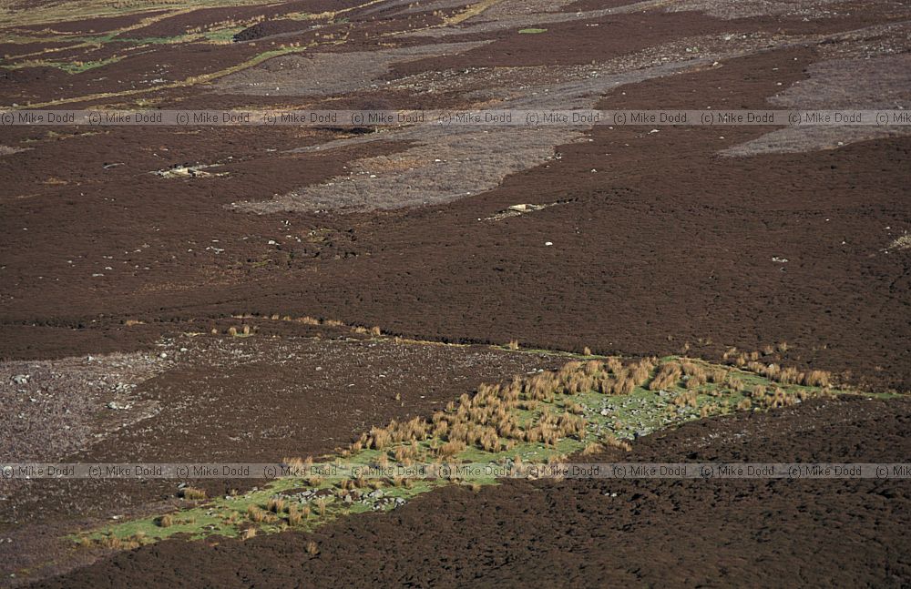 Heather moorland for grouse, strips, Swaledale