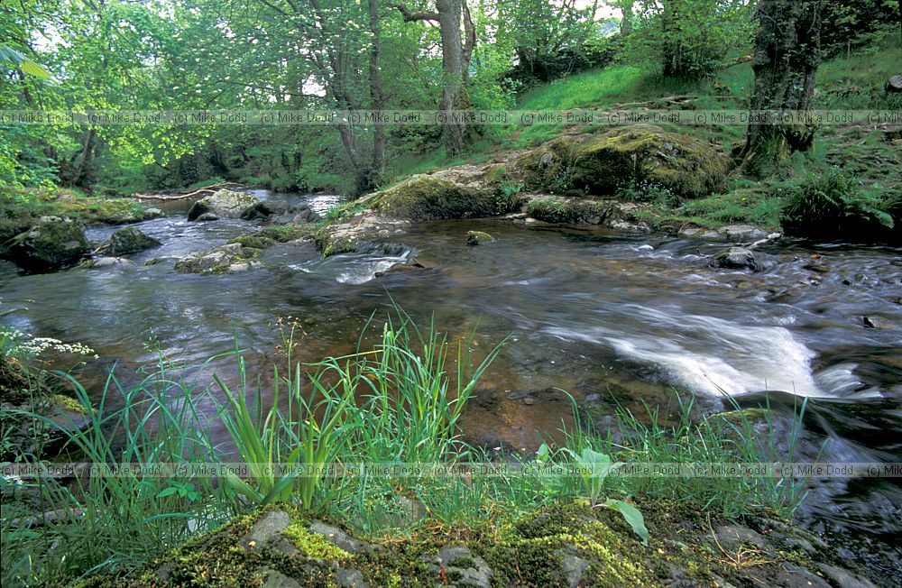 Stream, Lake District