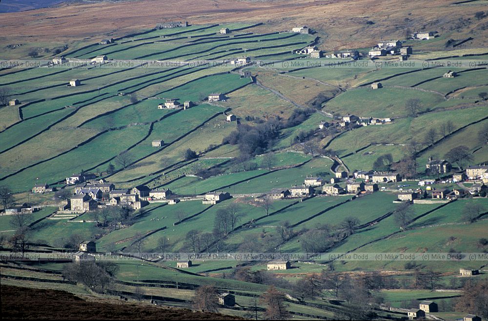 Fields farms and villages Swaledale