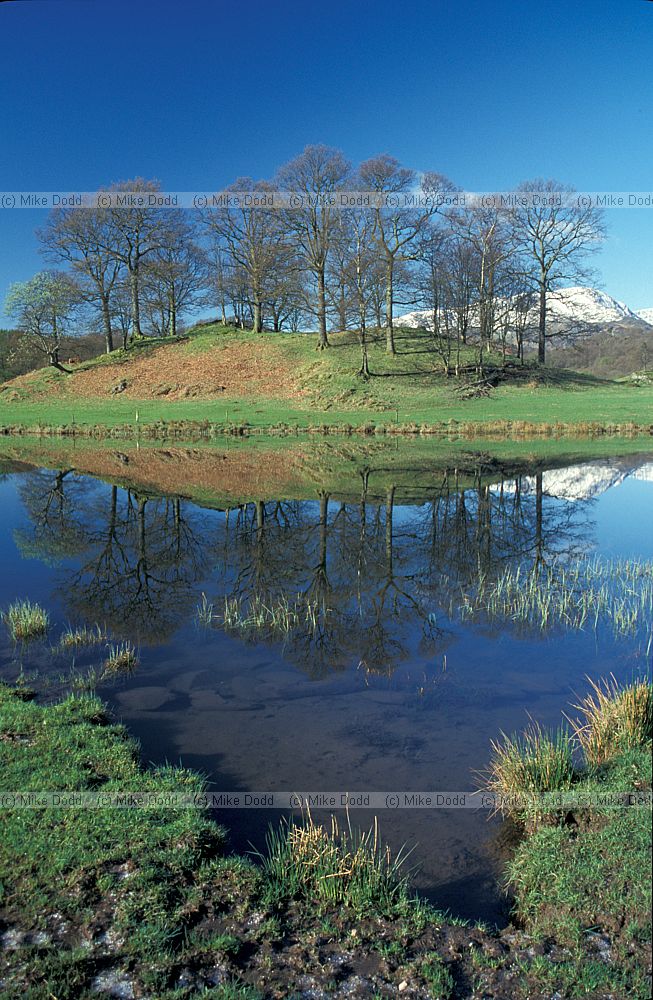 Elterwater, blue sky, leafless trees, Lake District