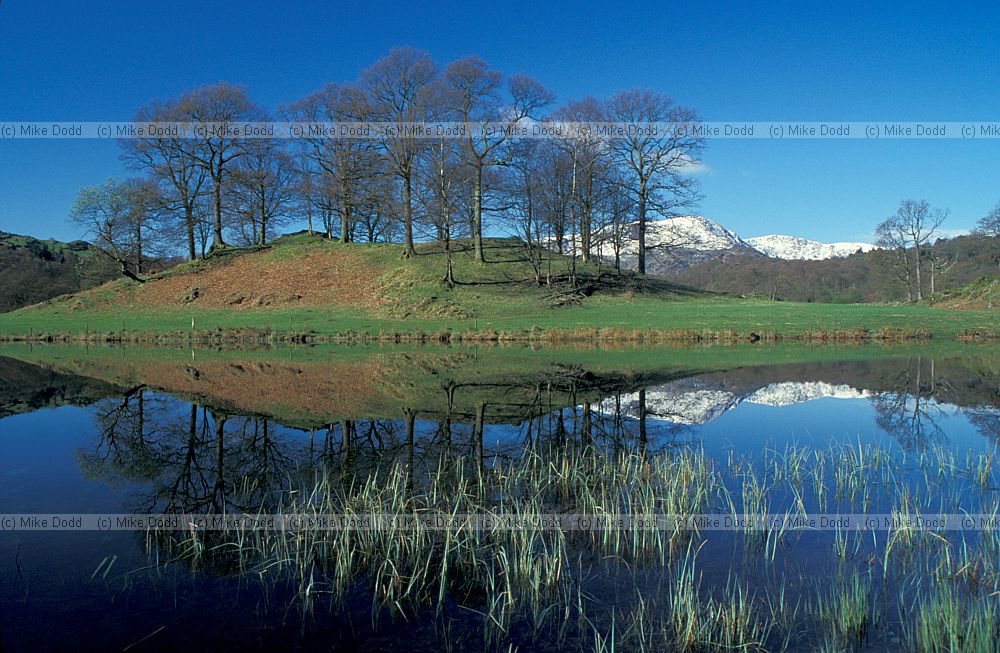 Elterwater, blue sky, leafless trees, Lake District