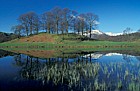 Elterwater, blue sky, leafless trees, Lake District