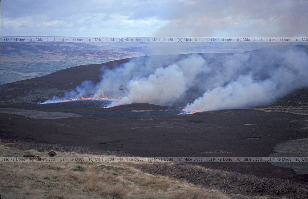 Moor burning, flames, smoke, Swaledale, Yorkshire
