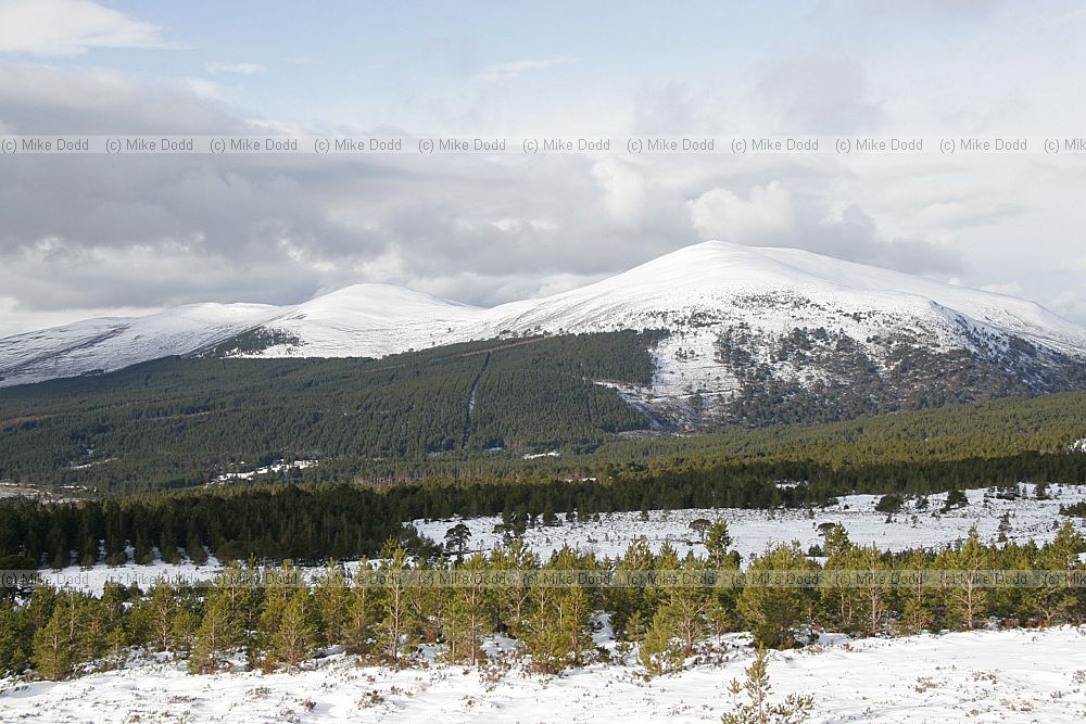 Meall a Bhuachaille and Glen more forest park
