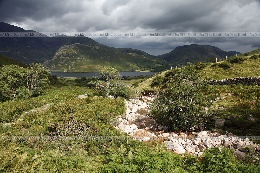 Hillside stream Crummock