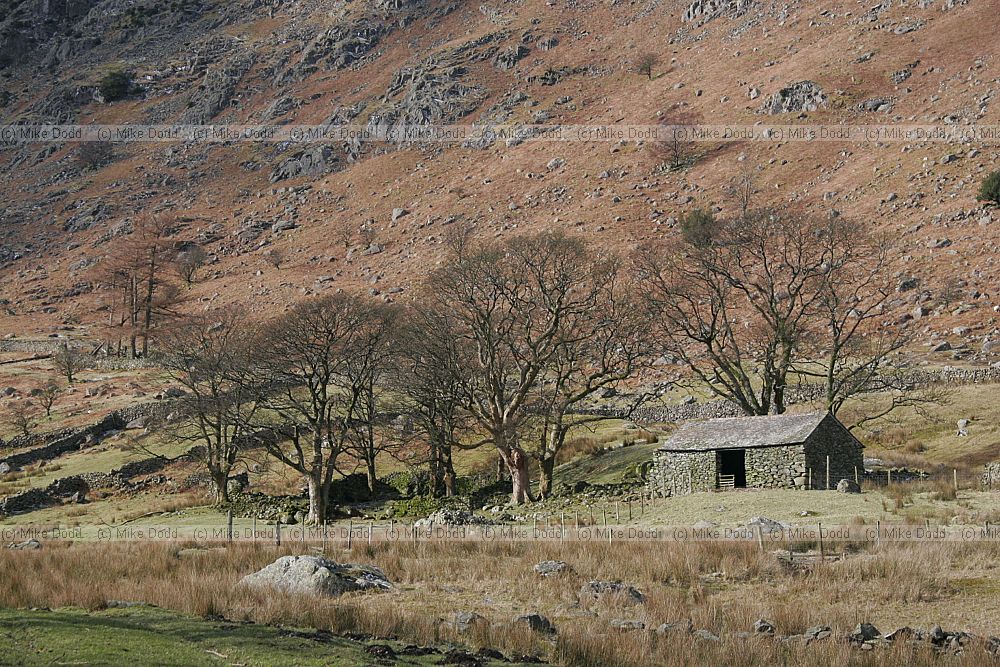 hillside Thirlmere