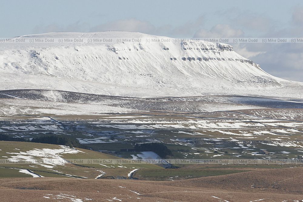 Ingleborough and snow