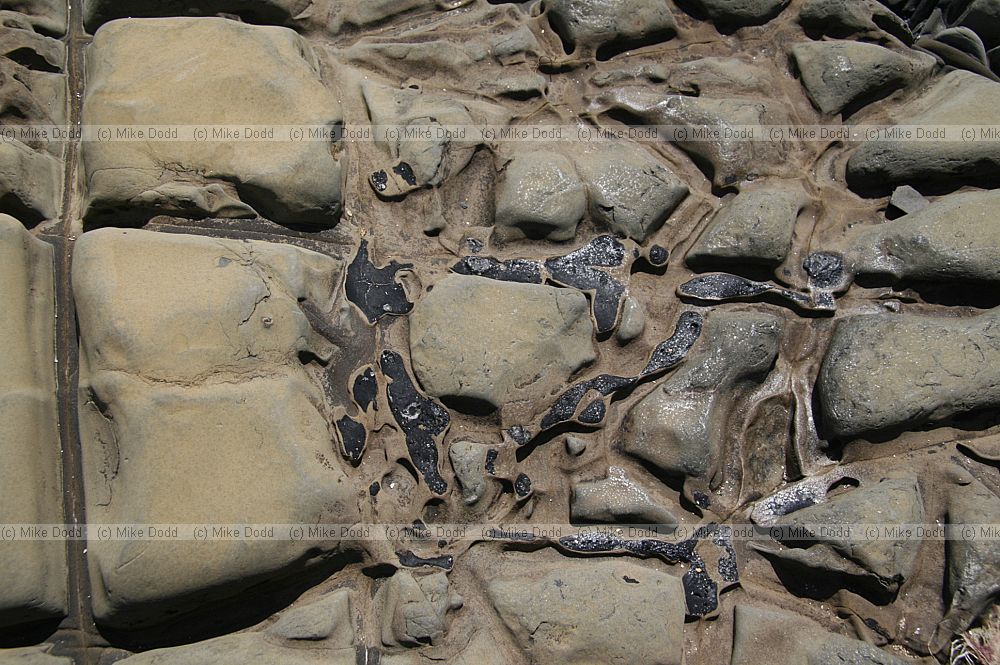 Lines in rock strata Kimmeridge bay